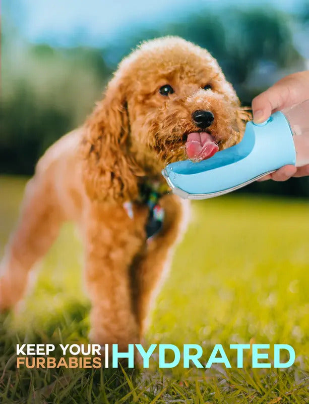 3-in-1 Dog Water Bottle