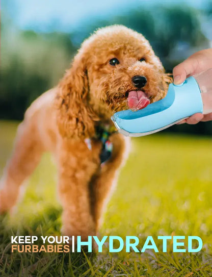 3-in-1 Dog Water Bottle